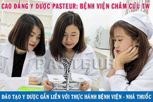 Trường Cao đẳng Y Dược Pasteur đào tạo Dược sĩ chất lượng cao