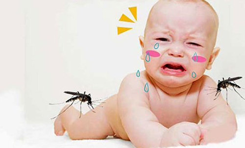 Muỗi là một trong những nguyên nhân truyền virus sốt xuất huyết ở trẻ 