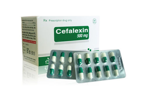 Thông tin về thuốc Cephalexin