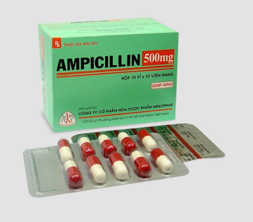 Hàm lượng và dạng thuốc Ampicillin