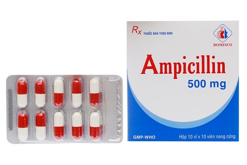 Liều dùng thuốc Ampicillin như thế nào?