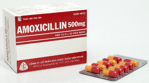 Nên dùng thuốc Ampicillin như thế nào cho đúng?