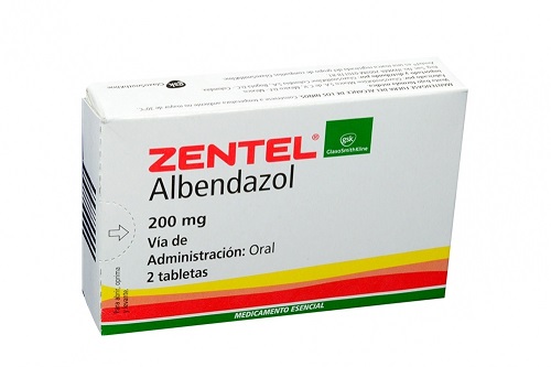 Những lưu ý trước khi dùng thuốc Zentel